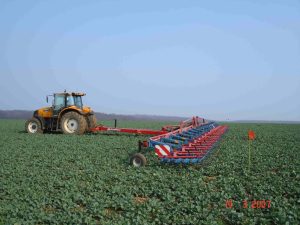 24m striegel bei raps 3
