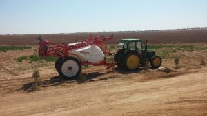 campo44 0002