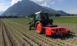 ic weeder aspect ratio 900 540 1 768x461
