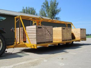 img 0744