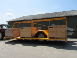 img 0746