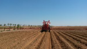 campo 44