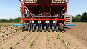 fast block automated transplanter (2)