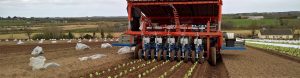 fast block automated transplanter