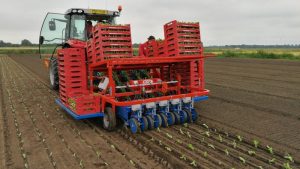 fast block automated transplanter (4)