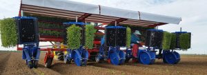 fmax transplanter