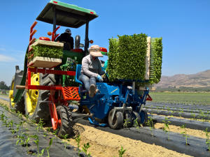fpa evolution transplanter (1)