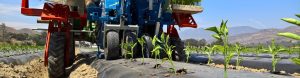 fpa evolution transplanter