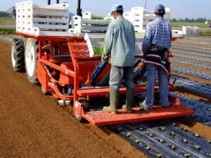 fpc layer and transplanter (1)
