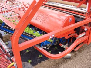 fpc layer and transplanter (3)