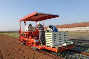 fpc layer and transplanter (3)