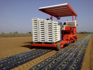 fpc layer and transplanter (5)