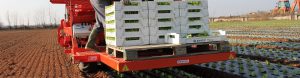 fpc layer and transplanter (6)