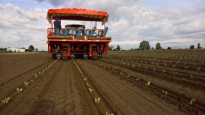 futura automated transplanter (4)