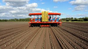 futura automated transplanter (6)