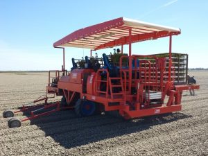 futura automated transplanter (7)