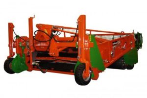 hagyma2