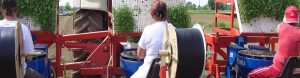 multipla transplanter