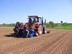 multipla transplanter (4)