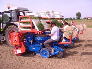 multipla transplanter (5)