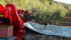 olives harvester