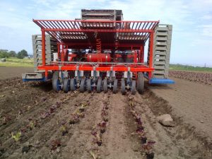 rotostrapp transplanter (3)