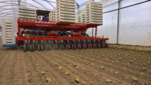 rotostrapp transplanter (5)
