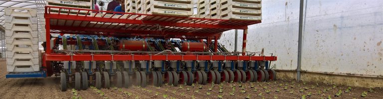 Ferrari Rotostrapp palántázógép