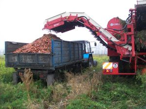 100 1636 054544500 1549 21112012