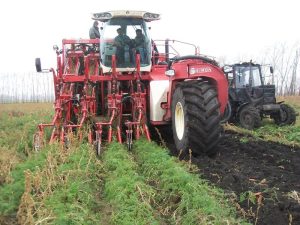 cruiser3 077808400 1549 21112012