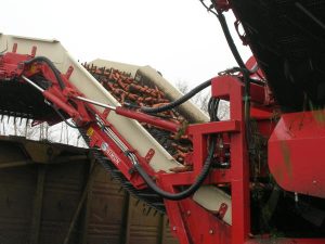 dscn2905 098748500 1549 21112012