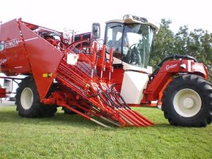 imgp0807 068964900 1549 21112012