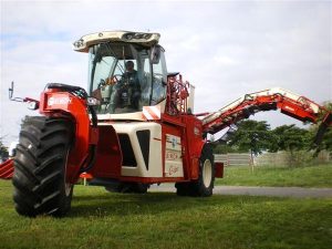 imgp0818 089996000 1549 21112012