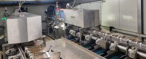 visar sorting sàrl sortop carrots inline outputs (5)
