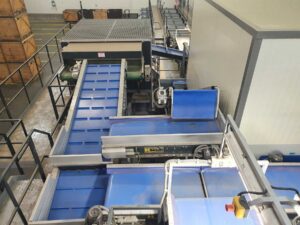 20211104 122837 optimized 1