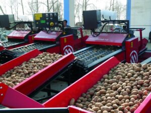 170403 miedema pgs 38 snow valley bw