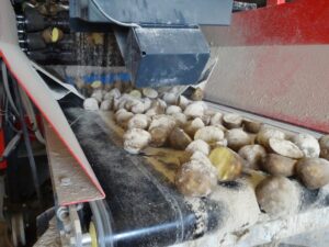 170420 pgs seed potato cutter 26