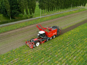 dcim100mediadji 0086.jpg