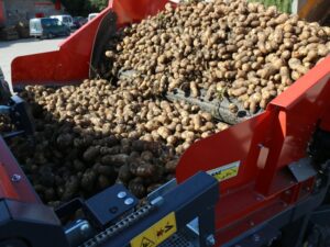 mh 241 presentation belt