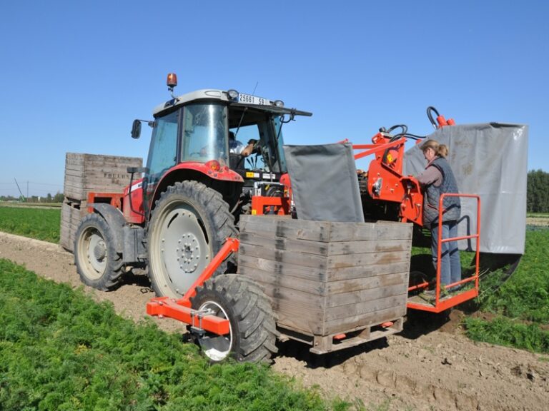 Dewulf P3CL Profi Betakarítógép (Top-Lifting Harvester)
